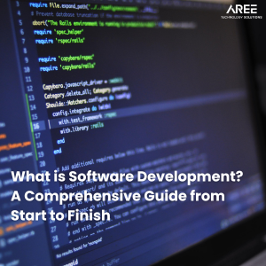 software development
